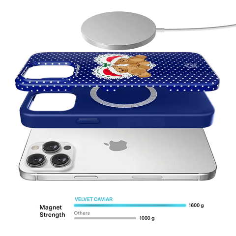 Winter Teddy iPhone Case